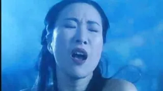 ตด,ชายชรา, วี ดี โป็